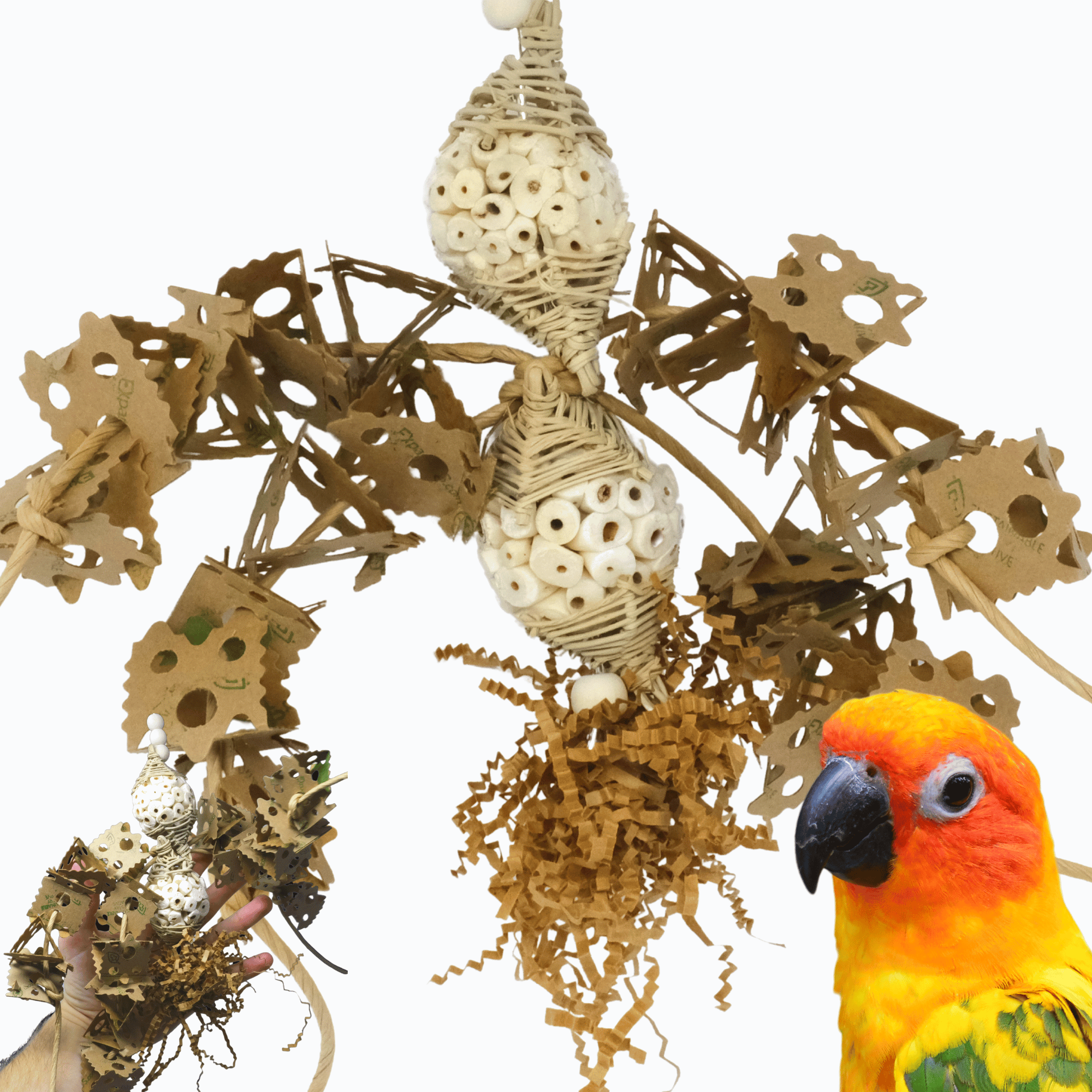 2557 Sola Spider - Bonka Bird Toys