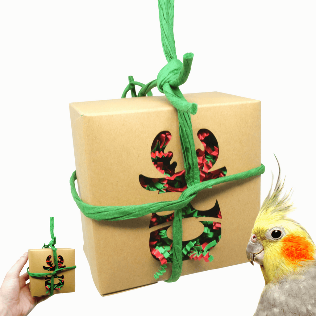 2985 Natural Christmas Box - Bonka Bird Toys