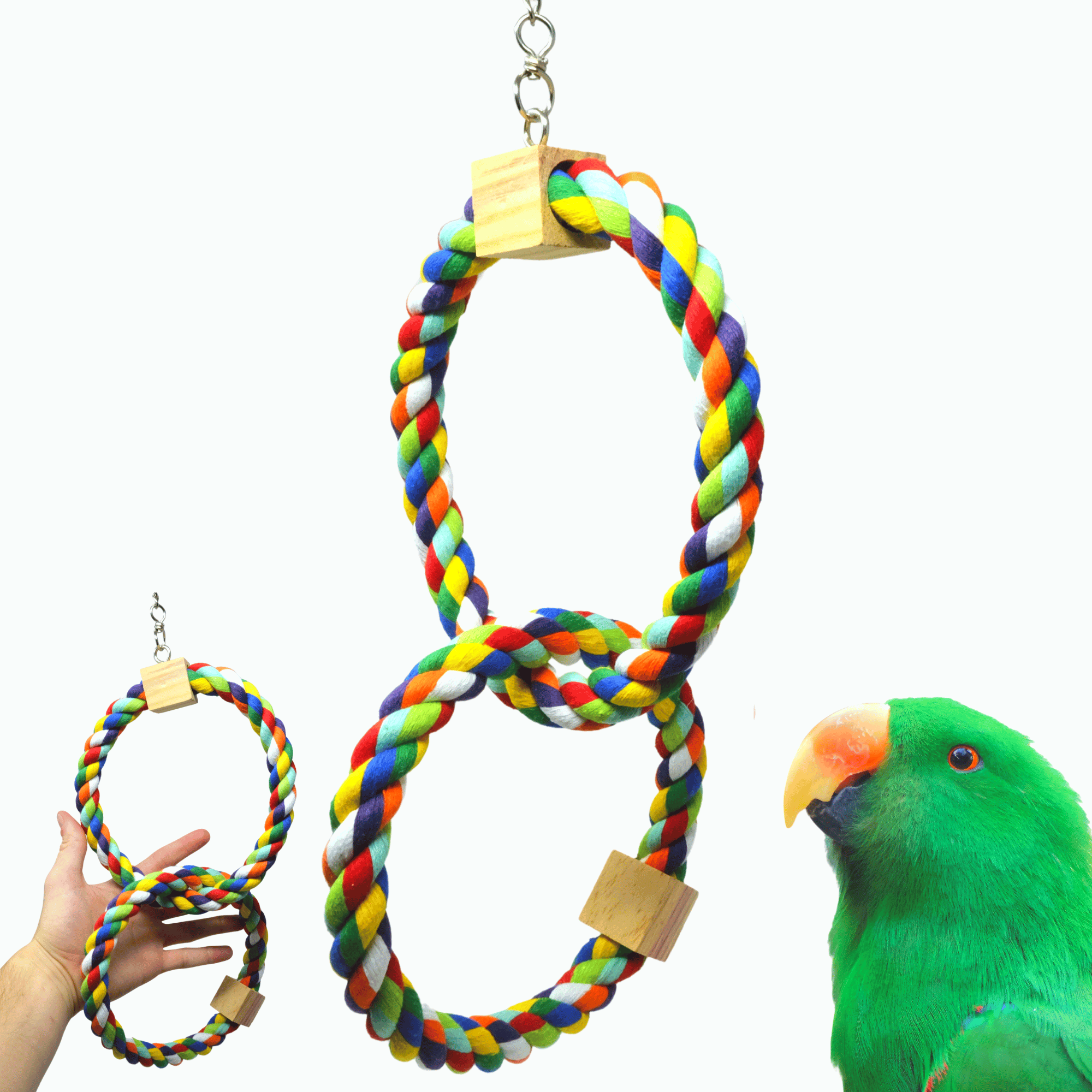 1677 Twin Rainbow Ring - Bonka Bird Toys