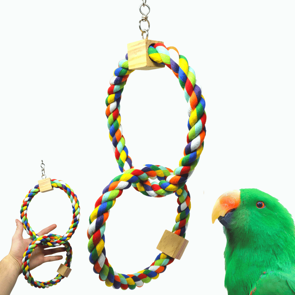 1677 Twin Rainbow Ring - Bonka Bird Toys