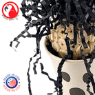 2872 Boo Ghost - Bonka Bird Toys