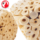 Big Sola Cubes - Bonka Bird Toys