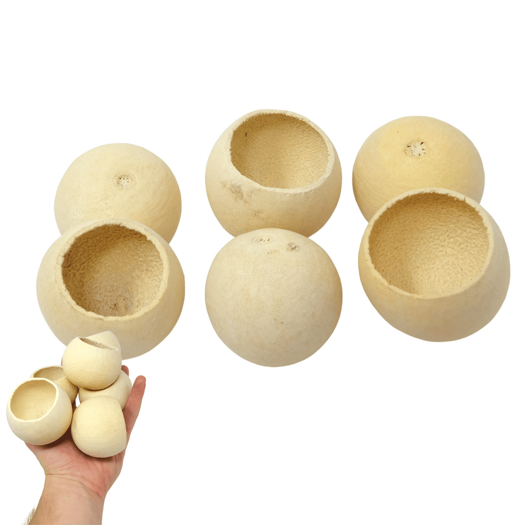 Pk6 Foraging Cups - Bonka Bird Toys