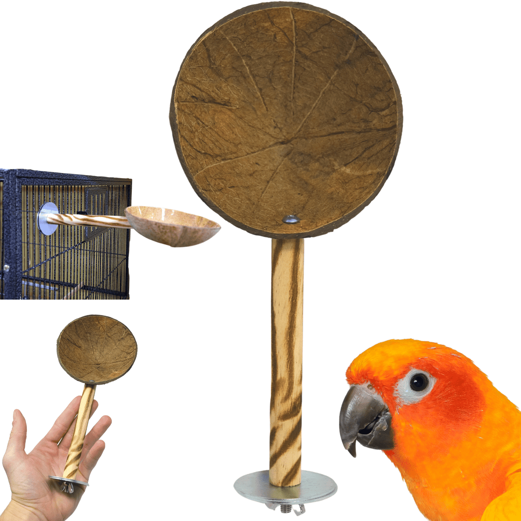 2185 Coco Perch - Bonka Bird Toys