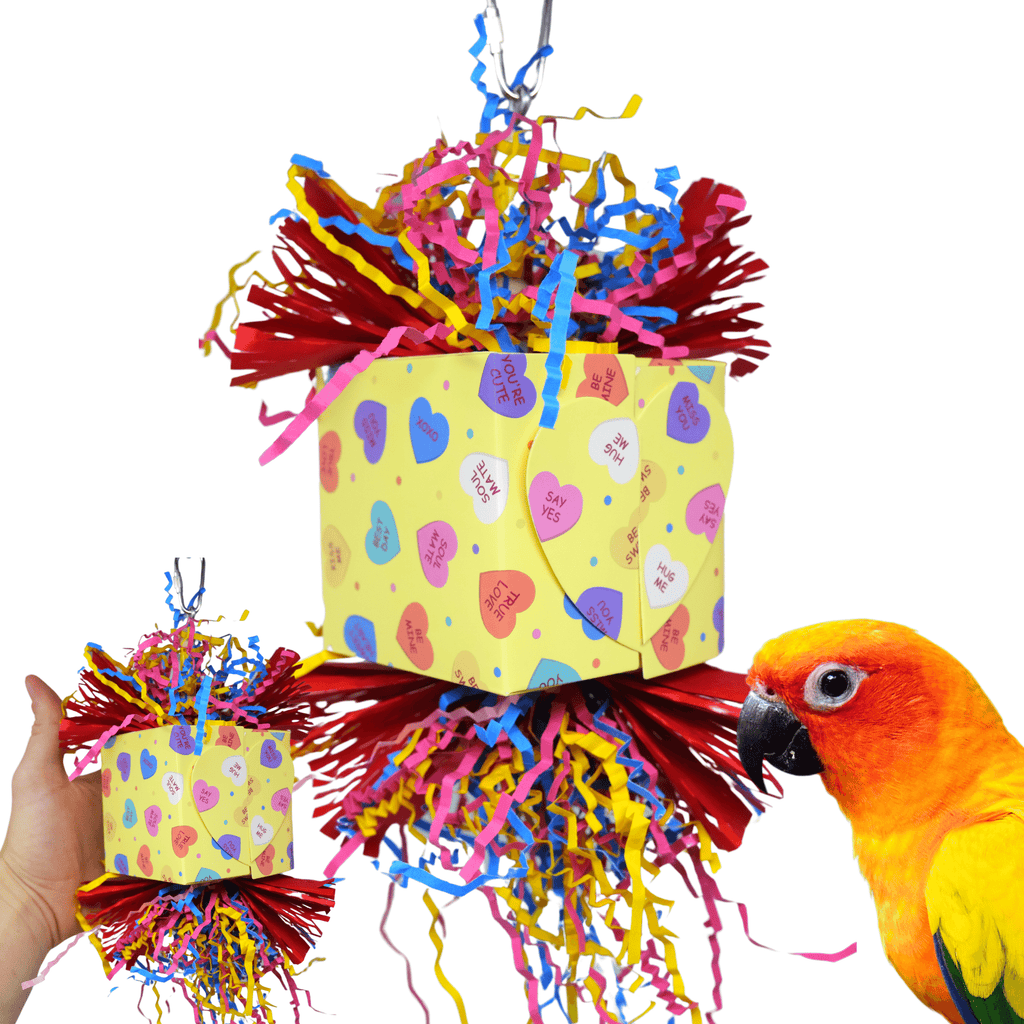 Heart Box - Bonka Bird Toys