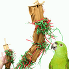 3831 Medium Christmas Gift Box - Bonka Bird Toys