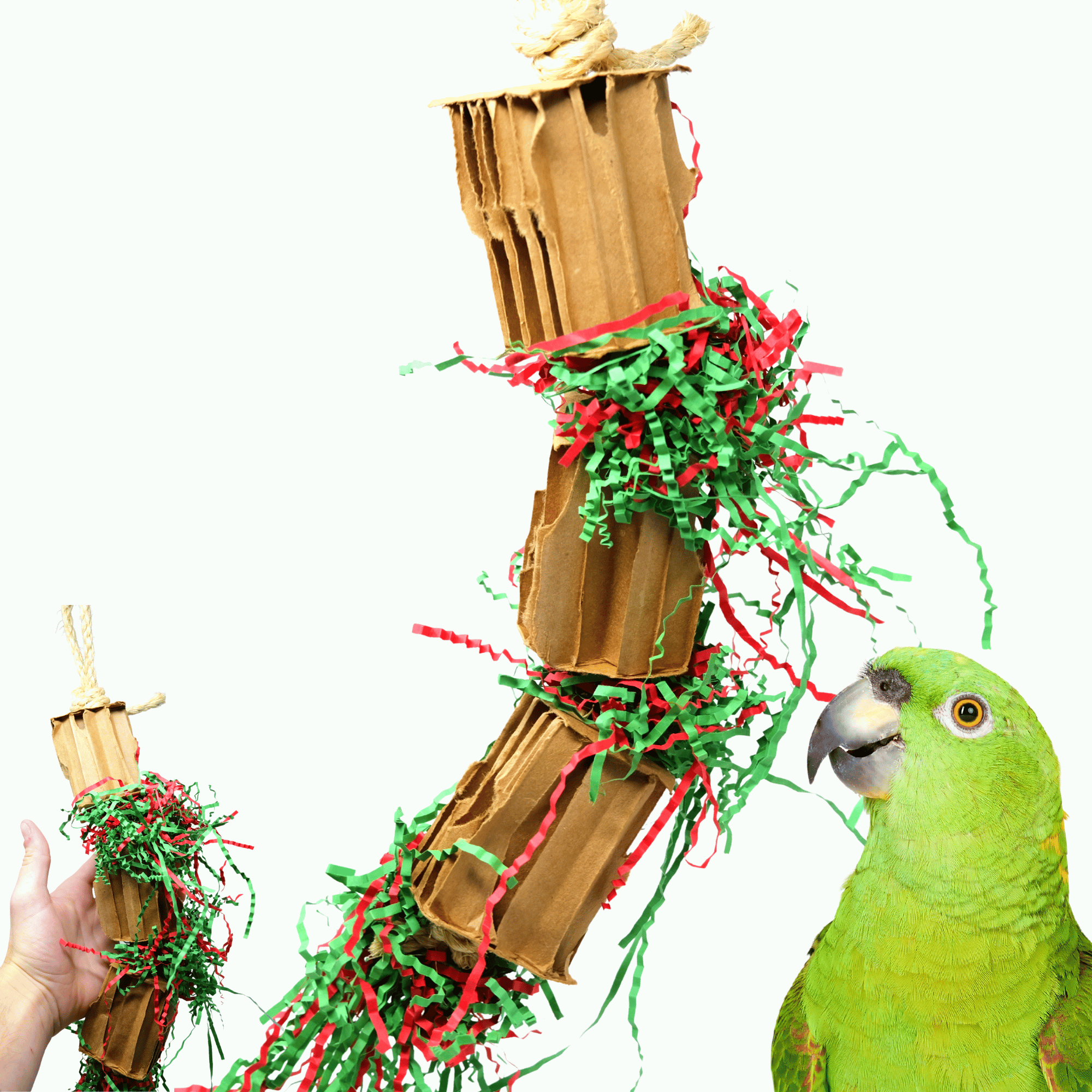 3831 Medium Christmas Gift Box - Bonka Bird Toys