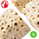 Small Sola Cubes - Bonka Bird Toys