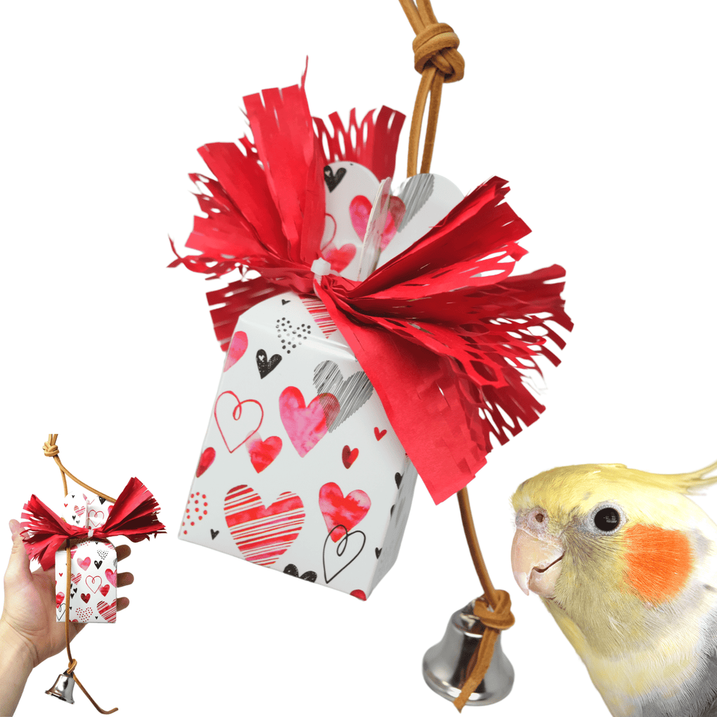 1002 Love Box - Bonka Bird Toys