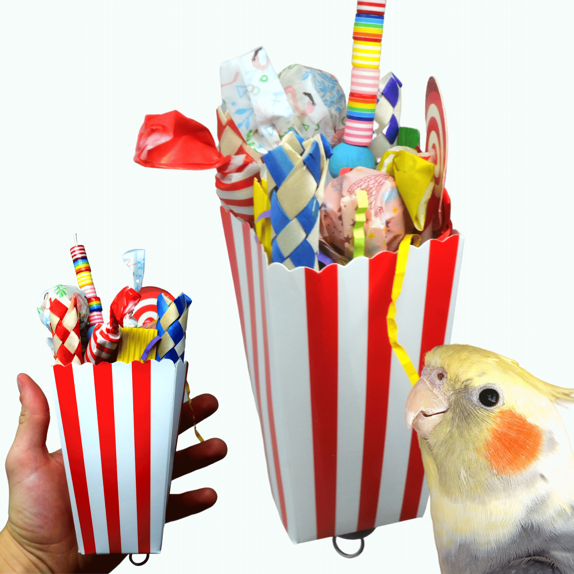 2556 Candy Box - Bonka Bird Toys