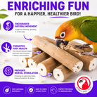 1211 Pk6 Natural Bark Sola Sticks - Bonka Bird Toys
