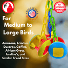 1161 Carnival Clacker - Bonka Bird Toys