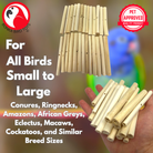 2945 Pk24 3.5" Natural Drilled Jute Sticks - Bonka Bird Toys