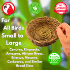 3393 Big Seagrass Nest Bowl - Bonka Bird Toys