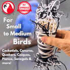 2867 Spooky Mummy - Bonka Bird Toys