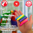 2935 Pk24 Mini Colored Sola Sticks - Bonka Bird Toys