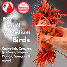 2874 Bat Crazy - Bonka Bird Toys