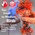 2868 Pumpkin Jumble - Bonka Bird Toys