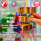 3734 Clown Box - Bonka Bird Toys