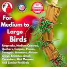 3831 Medium Gift Box - Bonka Bird Toys