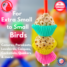2365 Two Mini Cake - Bonka Bird Toys