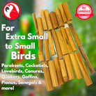 2941 Pk24 Bamboo Sticks - Bonka Bird Toys