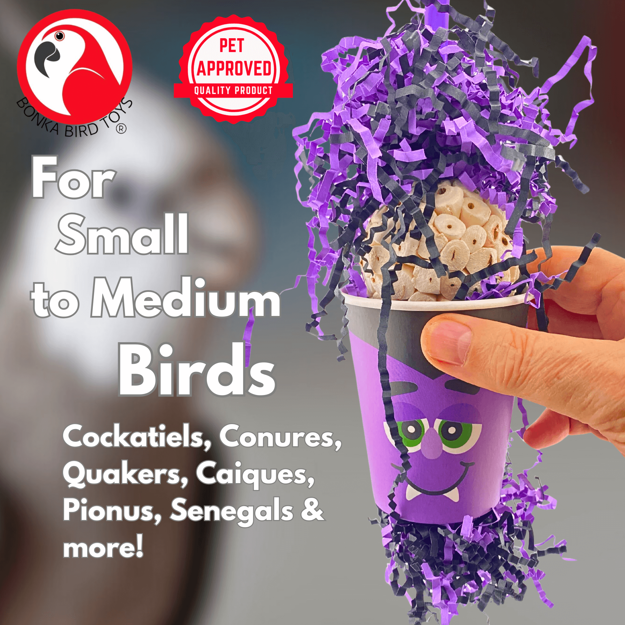 2873 Vampire Forager - Bonka Bird Toys