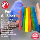Pk100 Big Colored Wooden Chewy Sticks - Bonka Bird Toys