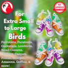 Mini Sneakers Pk12 - Pk24 - Bonka Bird Toys