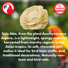 1169 Pk4 Large Sola Atta 3-4" Flowers - Bonka Bird Toys