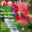 2775 Small Sola Love - Bonka Bird Toys