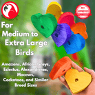 980 Pk6 Colored Huge Wood Hearts - Bonka Bird Toys