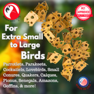 1222 Pk24 Foraging Card Crumbles - Bonka Bird Toys
