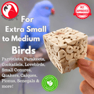 Small Sola Cubes - Bonka Bird Toys