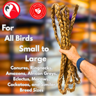 1459 Big Braided Seagrass Rope 15ft - Bonka Bird Toys
