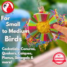 3488 Cake Party - Bonka Bird Toys