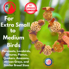 1199 Natures Harmony Swing - Bonka Bird Toys