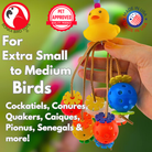 2325 Ducky Spyder - Bonka Bird Toys