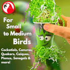 2870 Spooky Frankenstein - Bonka Bird Toys