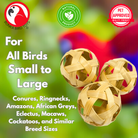 3485 PK3 Natural 3 Inch Bamboo Balls - Bonka Bird Toys