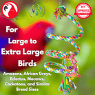 1962 Huge Rope Boing - Bonka Bird Toys