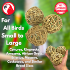 3353 Pk3 Huge Natural Vine Balls - Bonka Bird Toys