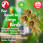 1268 PK6 Vine Lilies - Bonka Bird Toys