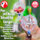 2233 Ball Working Lunch Skewer - Bonka Bird Toys