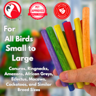2638 Pk12 Thin Colored Sola Sticks - Bonka Bird Toys