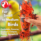 2869 Pumpkin Forager - Bonka Bird Toys