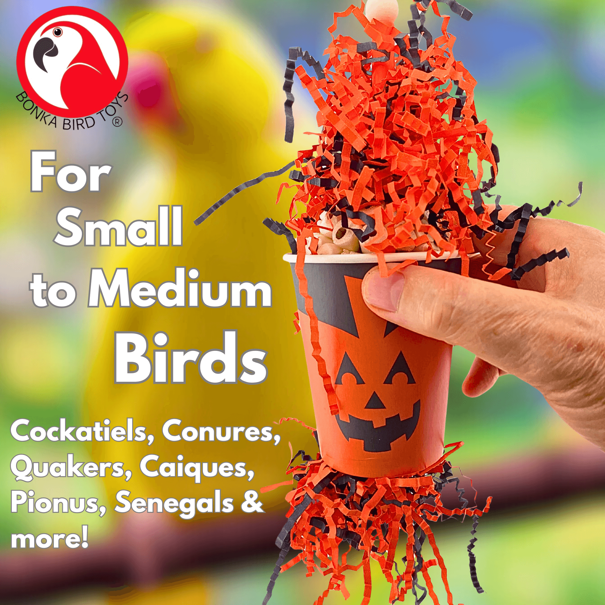 2869 Pumpkin Forager - Bonka Bird Toys