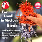 992 Pumpkin Ghost Party - Bonka Bird Toys