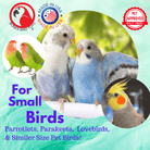 6019 Double Feeder - Bonka Bird Toys