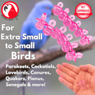 Crystal Cut Pk12 Pacifiers - Bonka Bird Toys